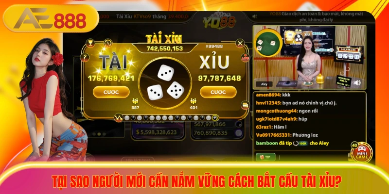 Tại sao người mới cần nắm vững cách bắt cầu Tài Xỉu?