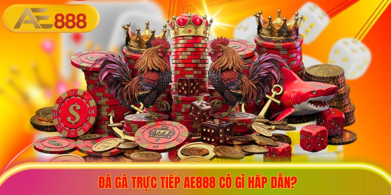 Đá gà trực tiếp ae888 có gì hấp dẫn?