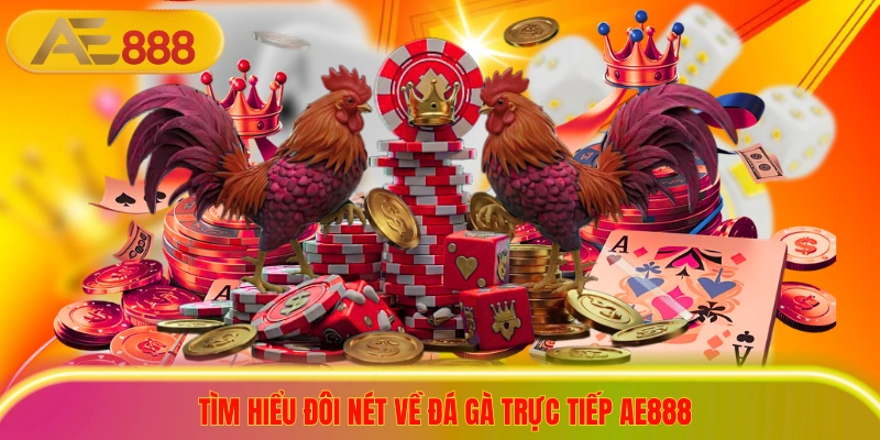 Tìm hiểu đôi nét về đá gà trực tiếp ae888