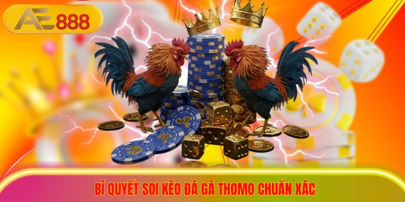 Bí quyết soi kèo đá gà thomo chuẩn xác