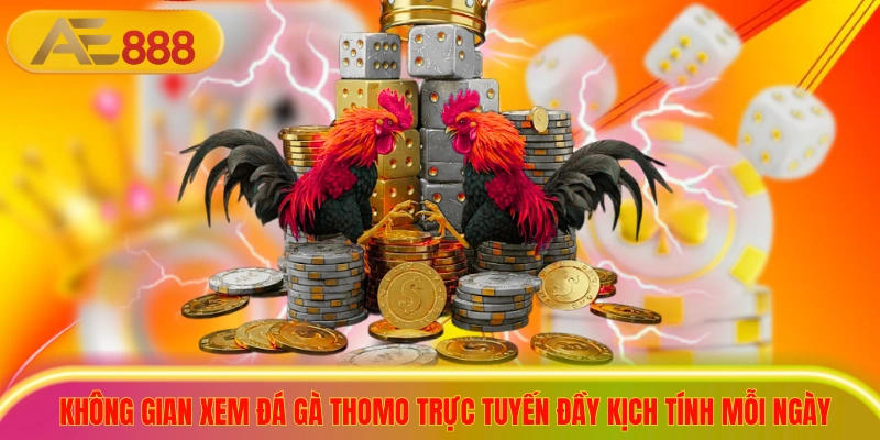Không gian xem trực tiếp đá gà thomo trực tuyến đầy kịch tính mỗi ngày